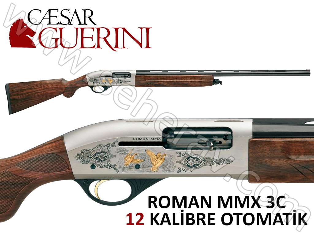 Resim